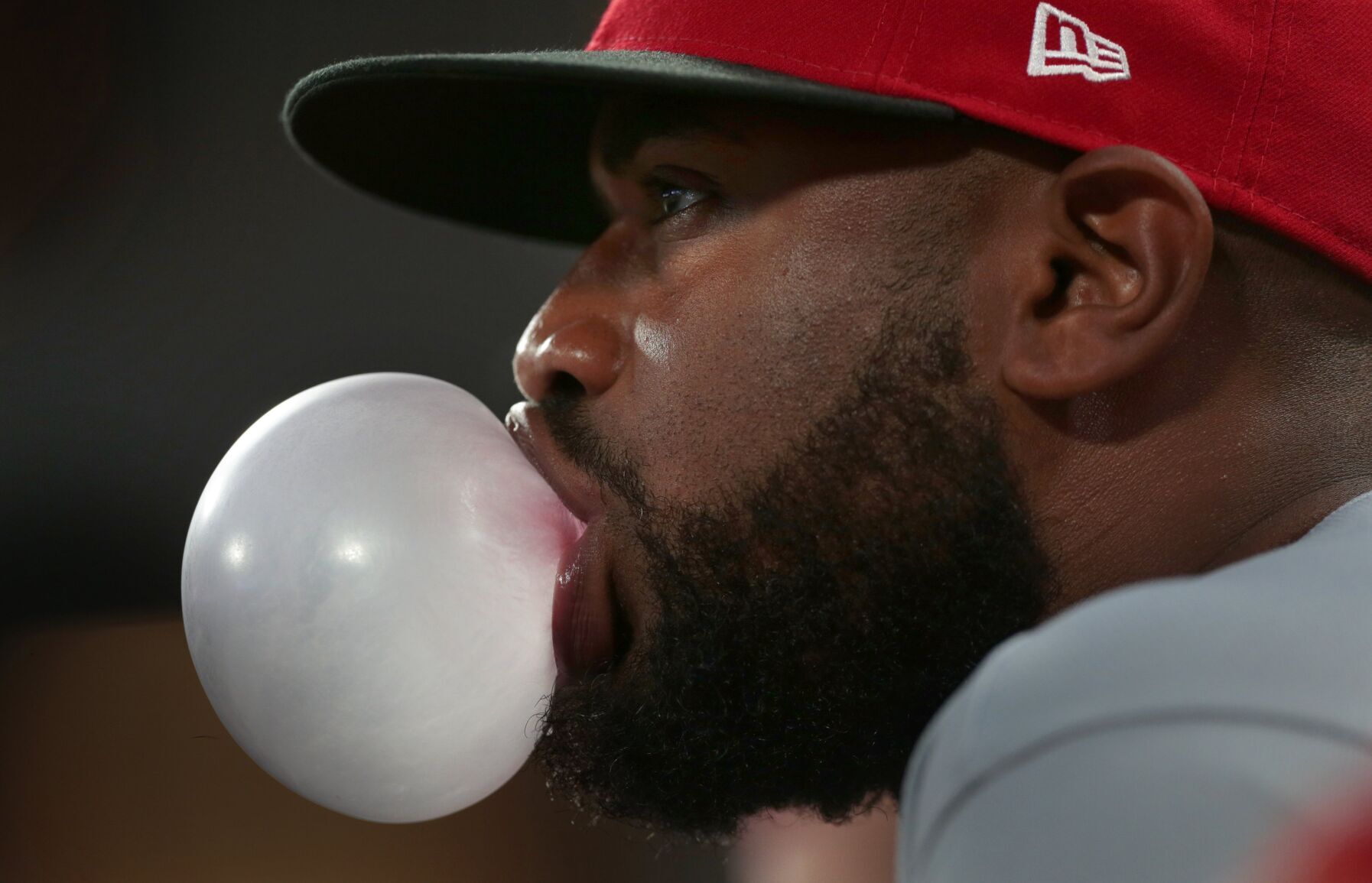 Cardinals, Reds at Busch